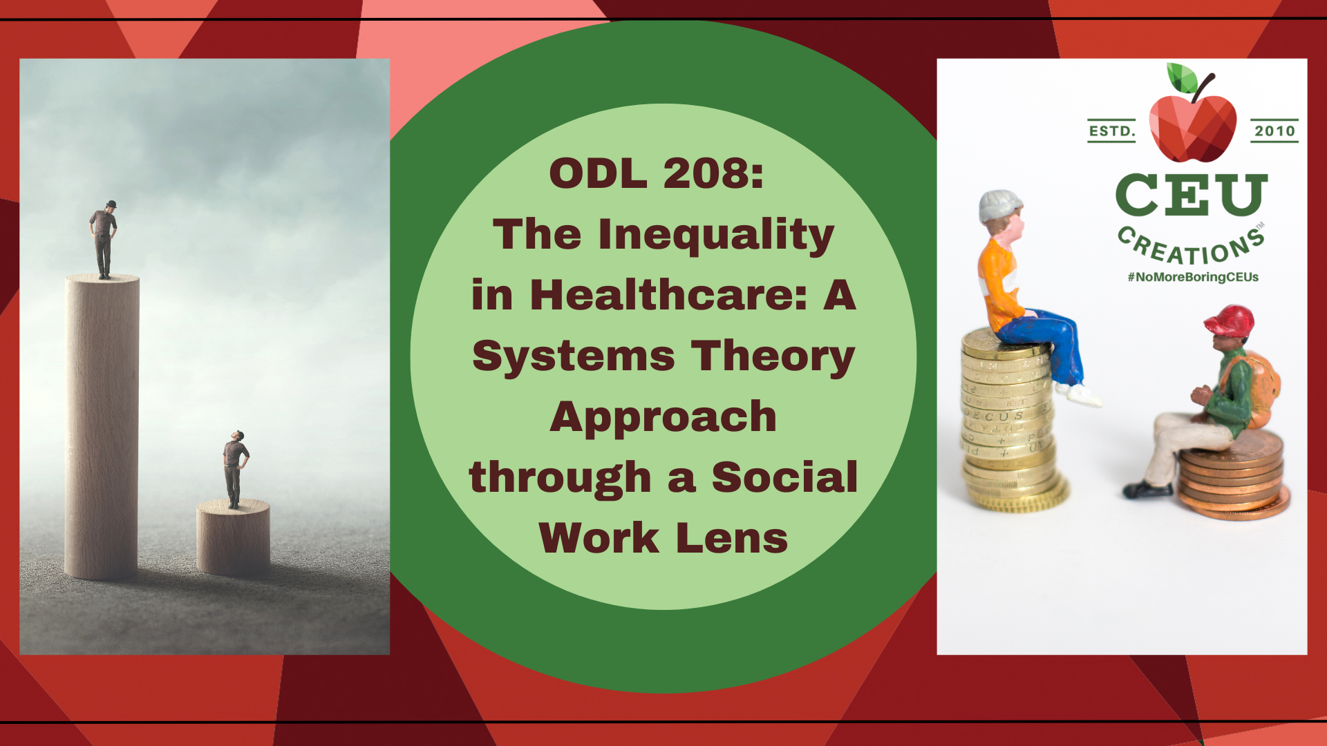 ODL 208: The Inequality In Healthcare: A Systems Theory Approach ...