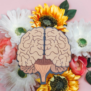 ODL 279: Mental Health Treatment for Adolescents