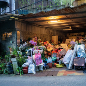 ODL 286: Diagnosis and Treatment of Hoarding Disorders