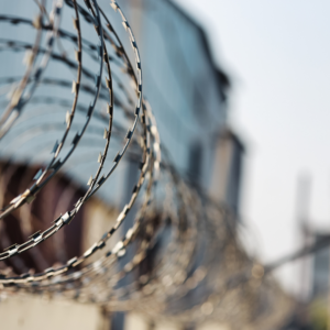 ODL 298: Dual Perspectives on Trauma: Exploring Post-Incarceration Syndrome and Presence Psychotherapy