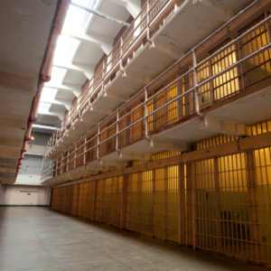 ODL 295: Trauma-Informed Care and Post-Incarceration Syndrome