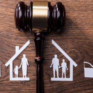 ODL 328: Breaking the Cycle: Helping Clients Cope with Separation or Divorce