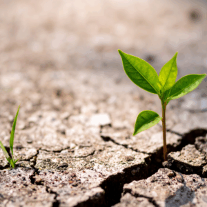 Bundle Member Ticket @ Power Hour: Resilience and Ethics: Supporting Our Helping Professionals 5/13/26