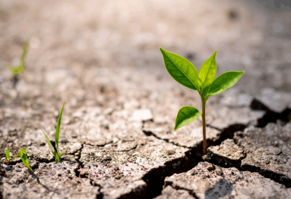 Resilience and Ethics